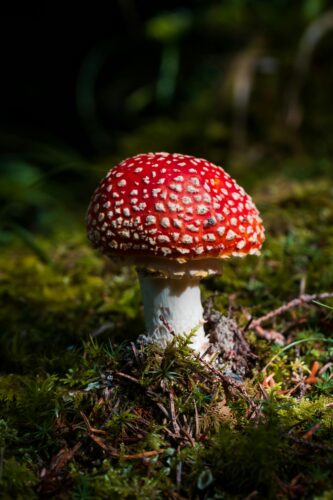 Outdoor-Aktivitäten für den Herbst